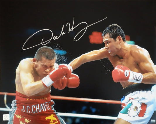 Oscar De La Hoya Autographed 16x20 Photo Vs Julio Cesar Chavez